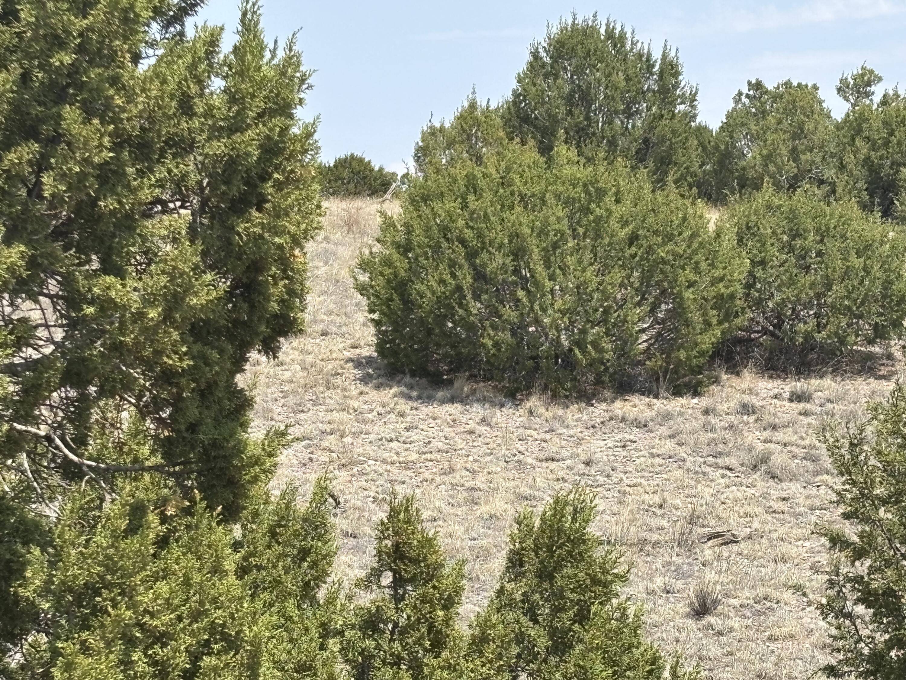 Lot 189 Pinon Springs Ranches - Main Image