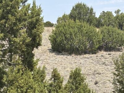 Lot 189 Pinon Springs Ranches, Magdalena 