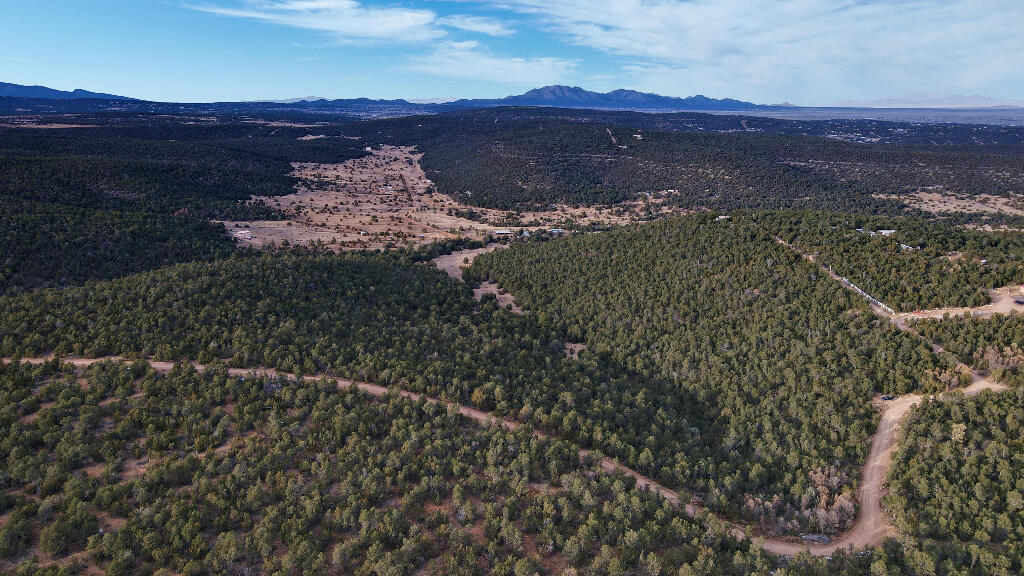 166 McComb Road - Main Image