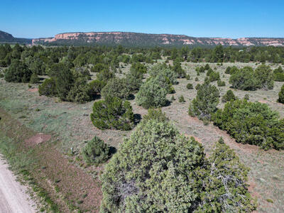 Lot 15 Buttonwood Drive, Ramah 