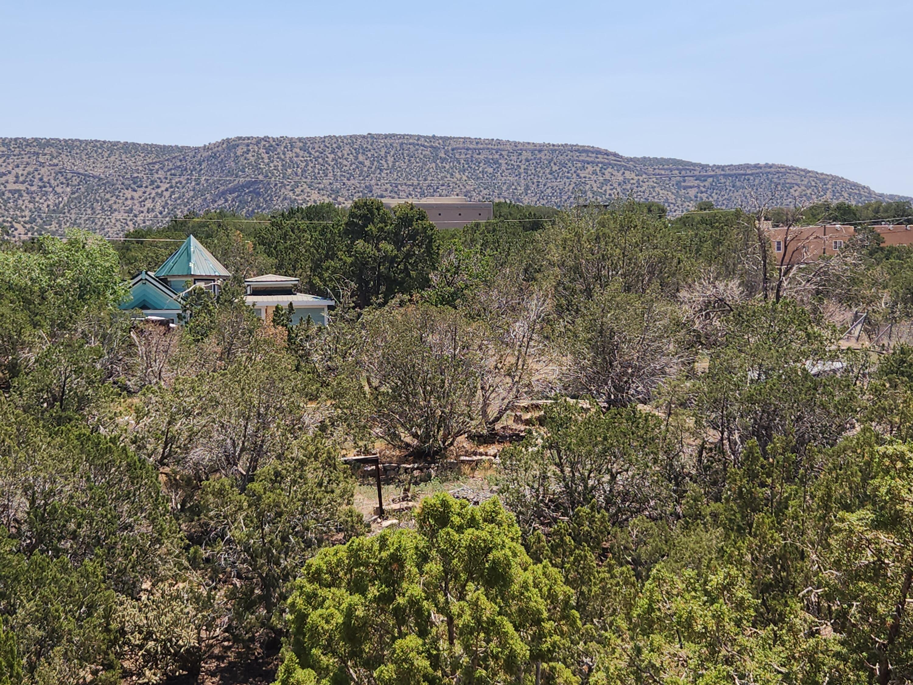 63 CAMINO DEL OSO - Main Image