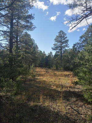 Lot 15 Yucca Drive, Ramah 