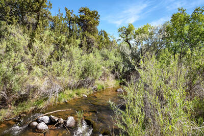 C3 and C4 LANDS OF CLYDE SMITH, Jemez Springs 