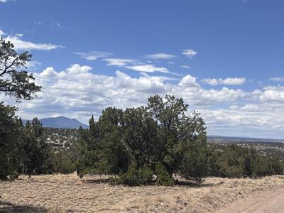 Lots 53 & 54 Golden Horseshoe, Quemado 