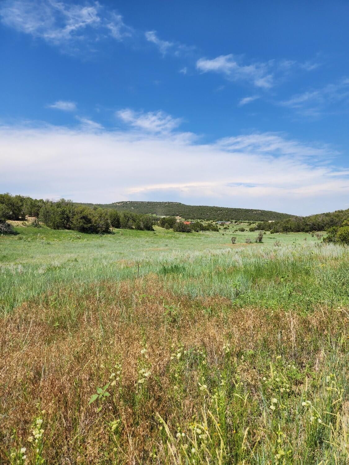 Escalante Road - Main Image