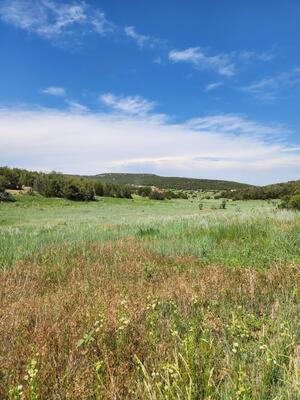 Escalante Road, Edgewood 