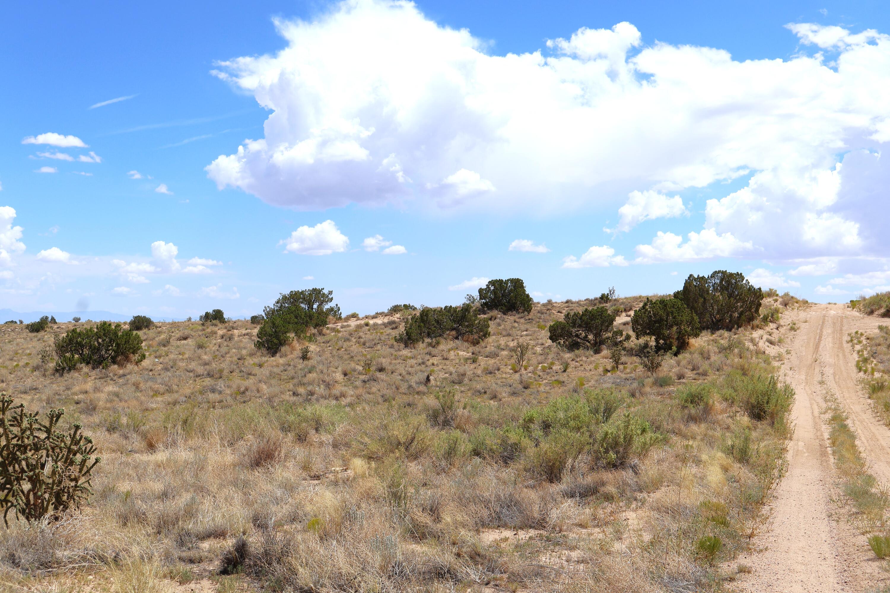 Rio Rancho Estates Lot 20 SW - Main Image