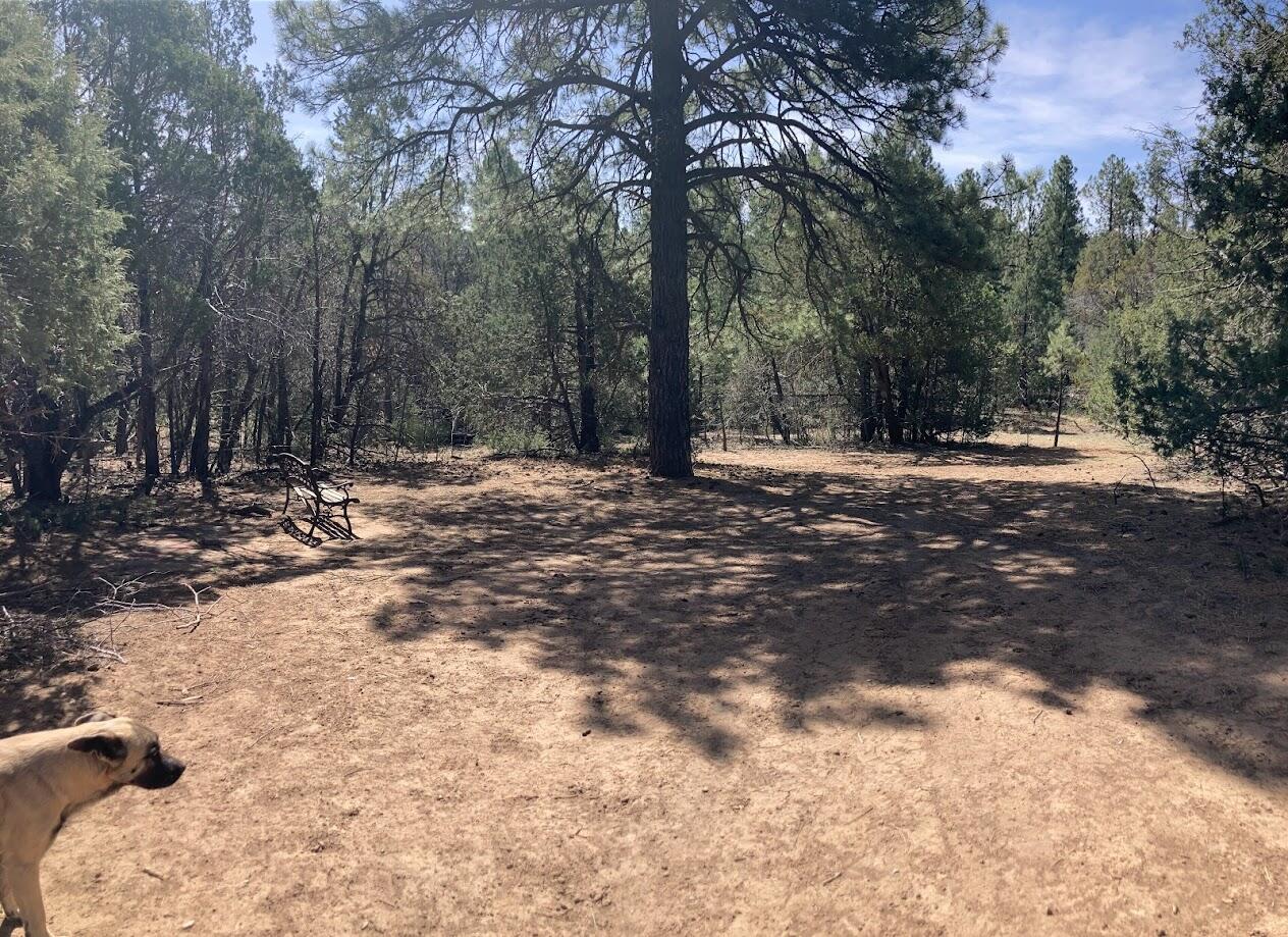 10267 HWY 337 - Main Image