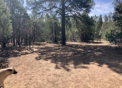 10267 HWY 337, Tijeras 