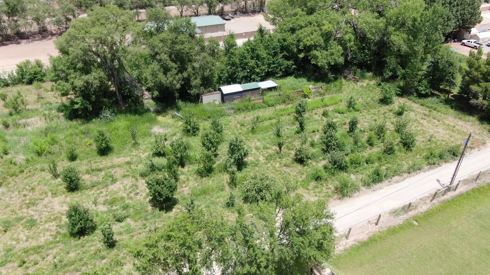 0 Arabian Lane - Main Image