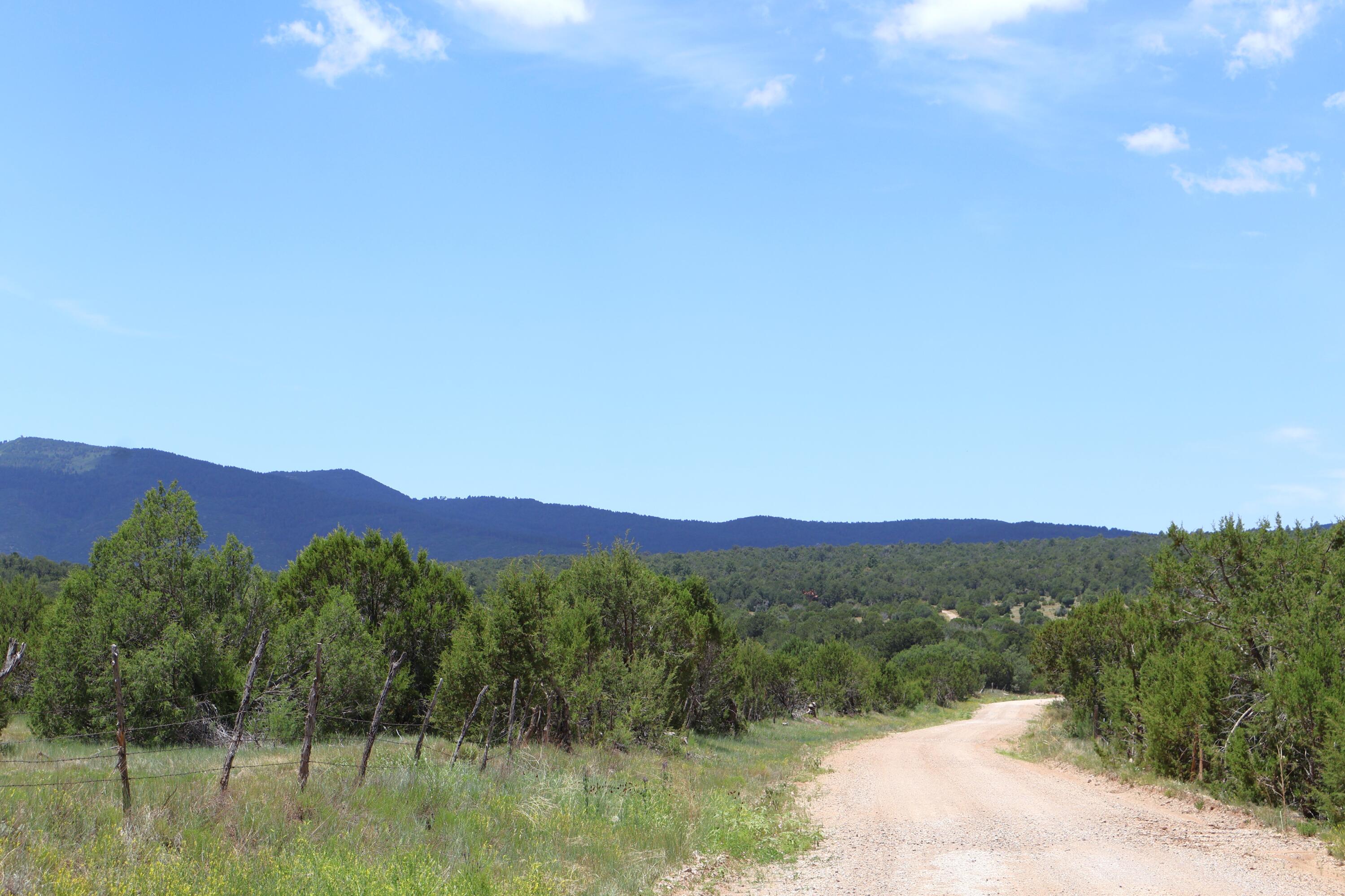 Lot 37 Sherwood Forest - Main Image