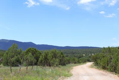 Lot 37 Sherwood Forest, Torreon 