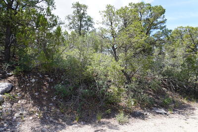 263 FIVE HILLS Drive, Tijeras 