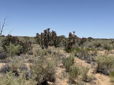 23rd (Lots72, Rio Rancho 