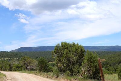 Lot 5 Sherwood Forest, Torreon 