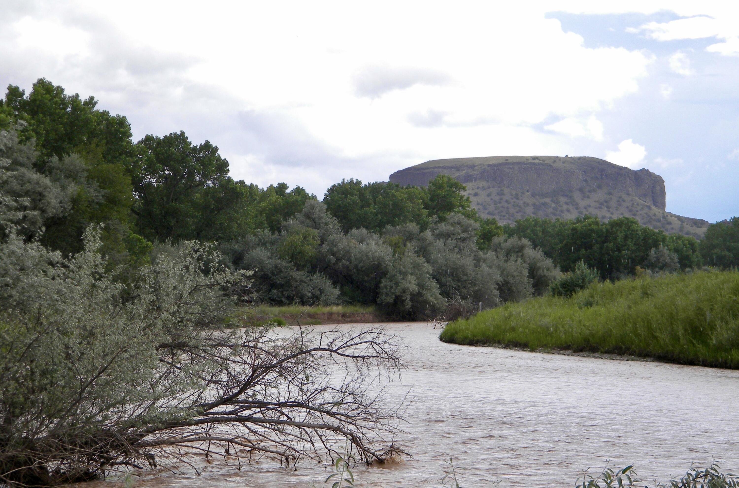 Co Rd 120 - Main Image