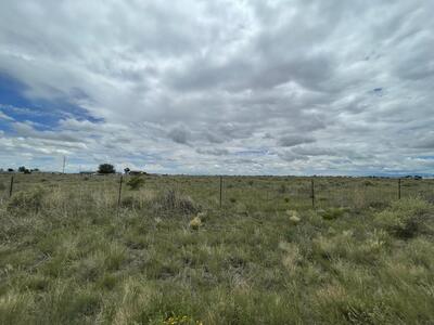 Lot 13 Seville Avenue, Moriarty 