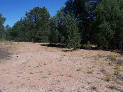 12, Tijeras 