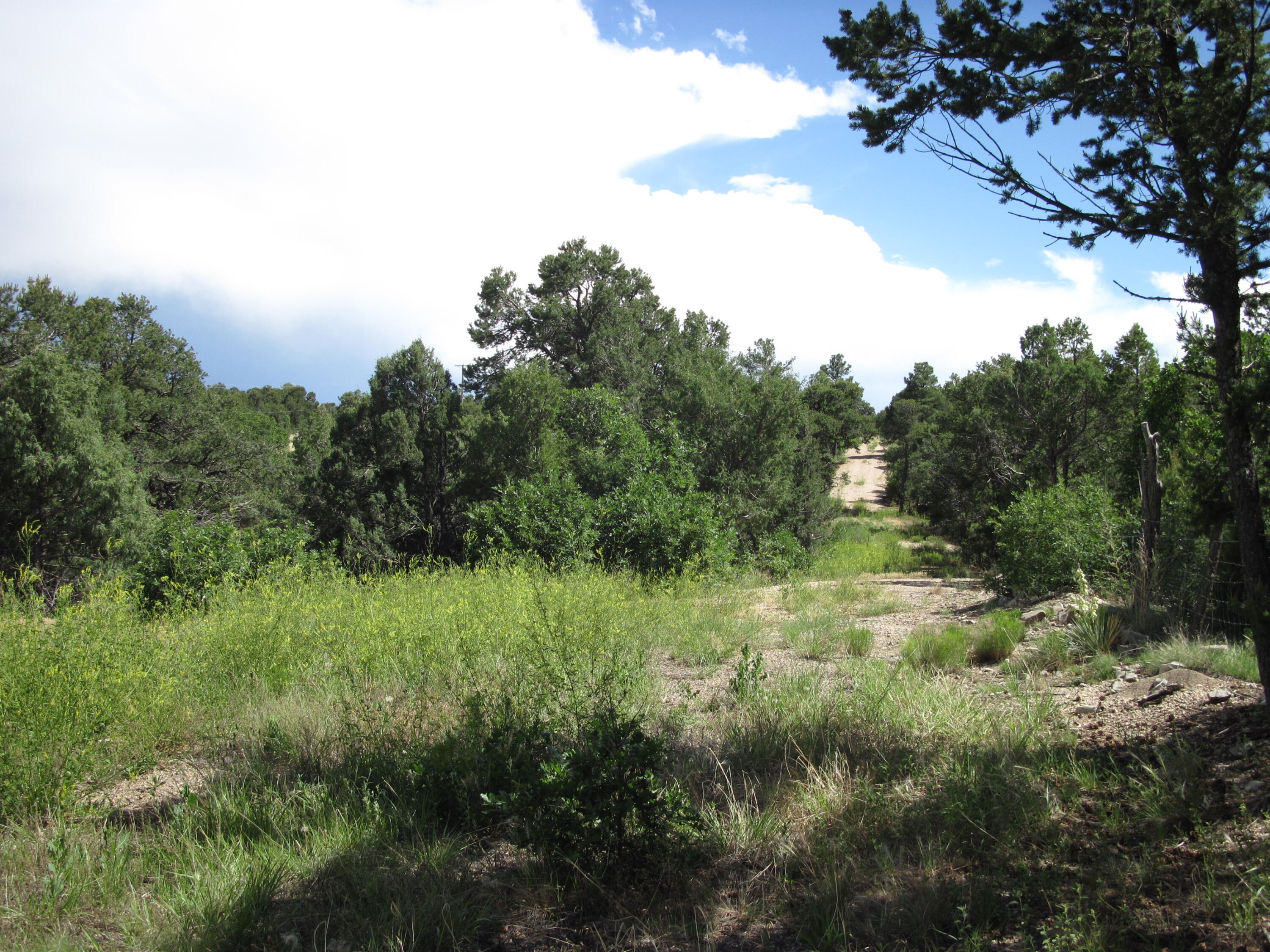 10445 & 3 NM 337 Highway - Main Image