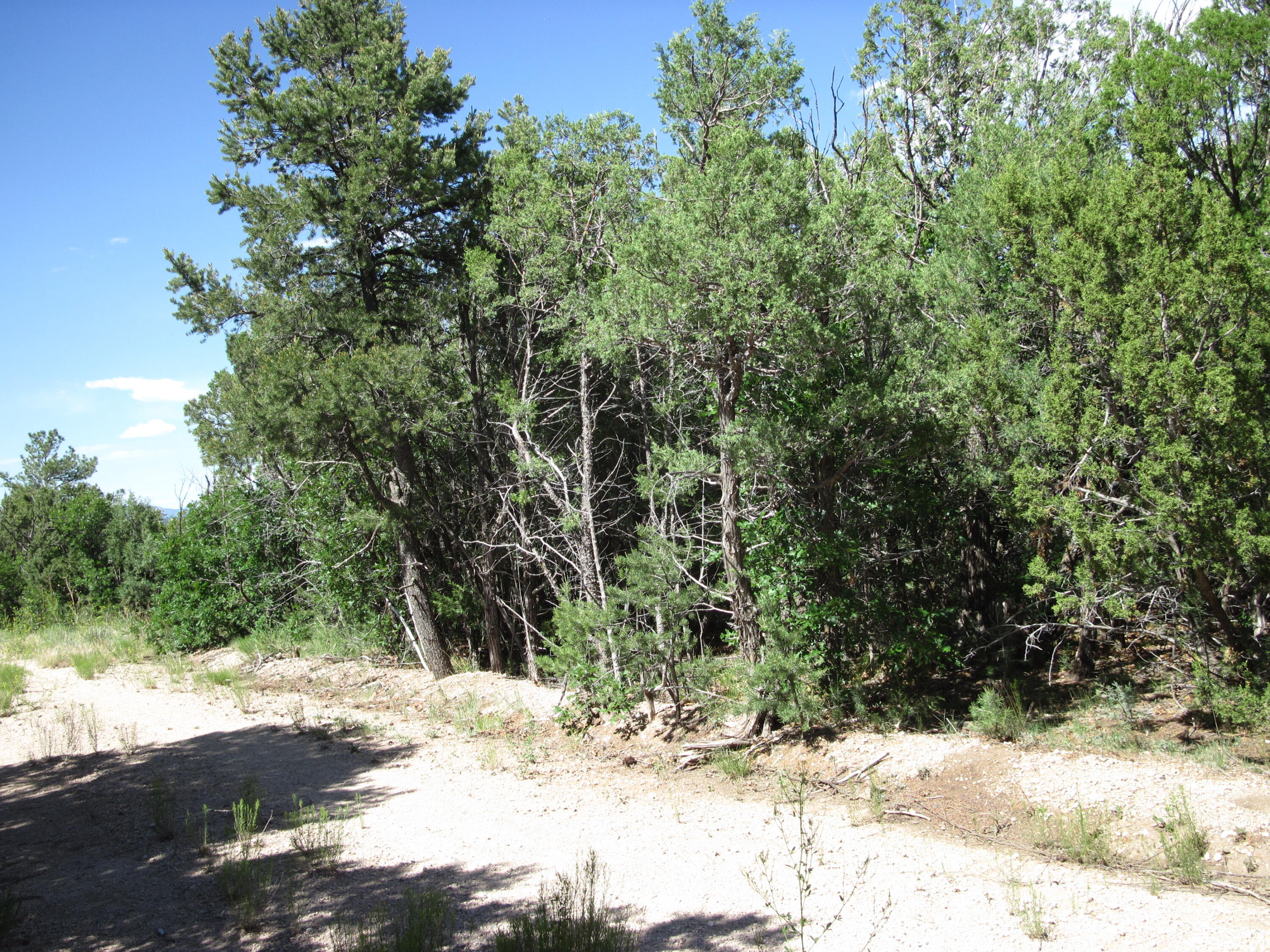 10433 NM 337 Highway - Main Image