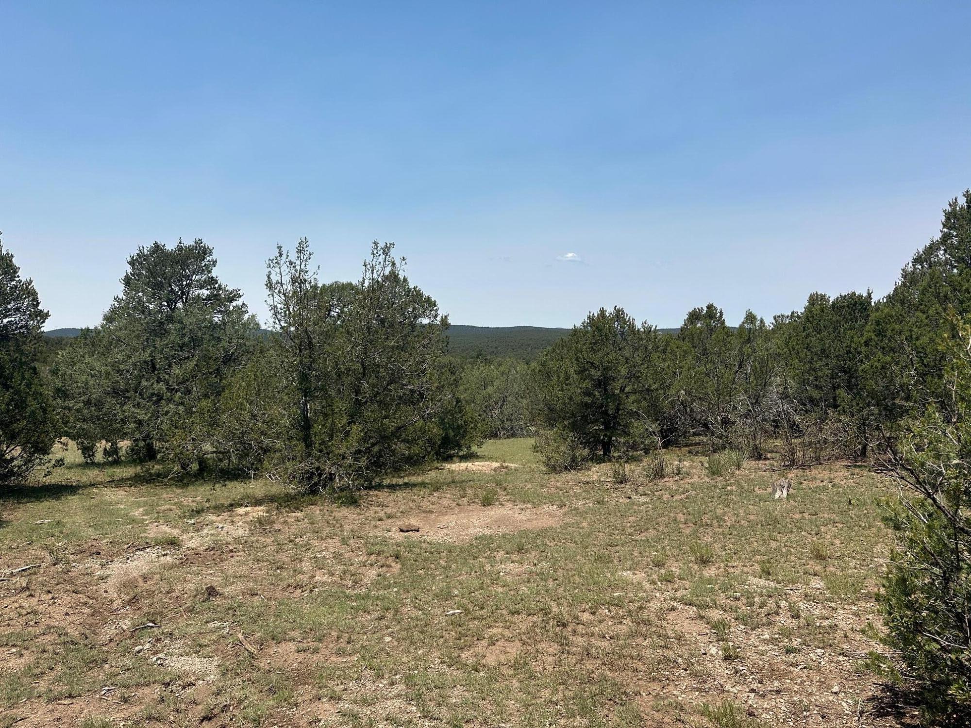 0 Off of Hwy 217 - Main Image