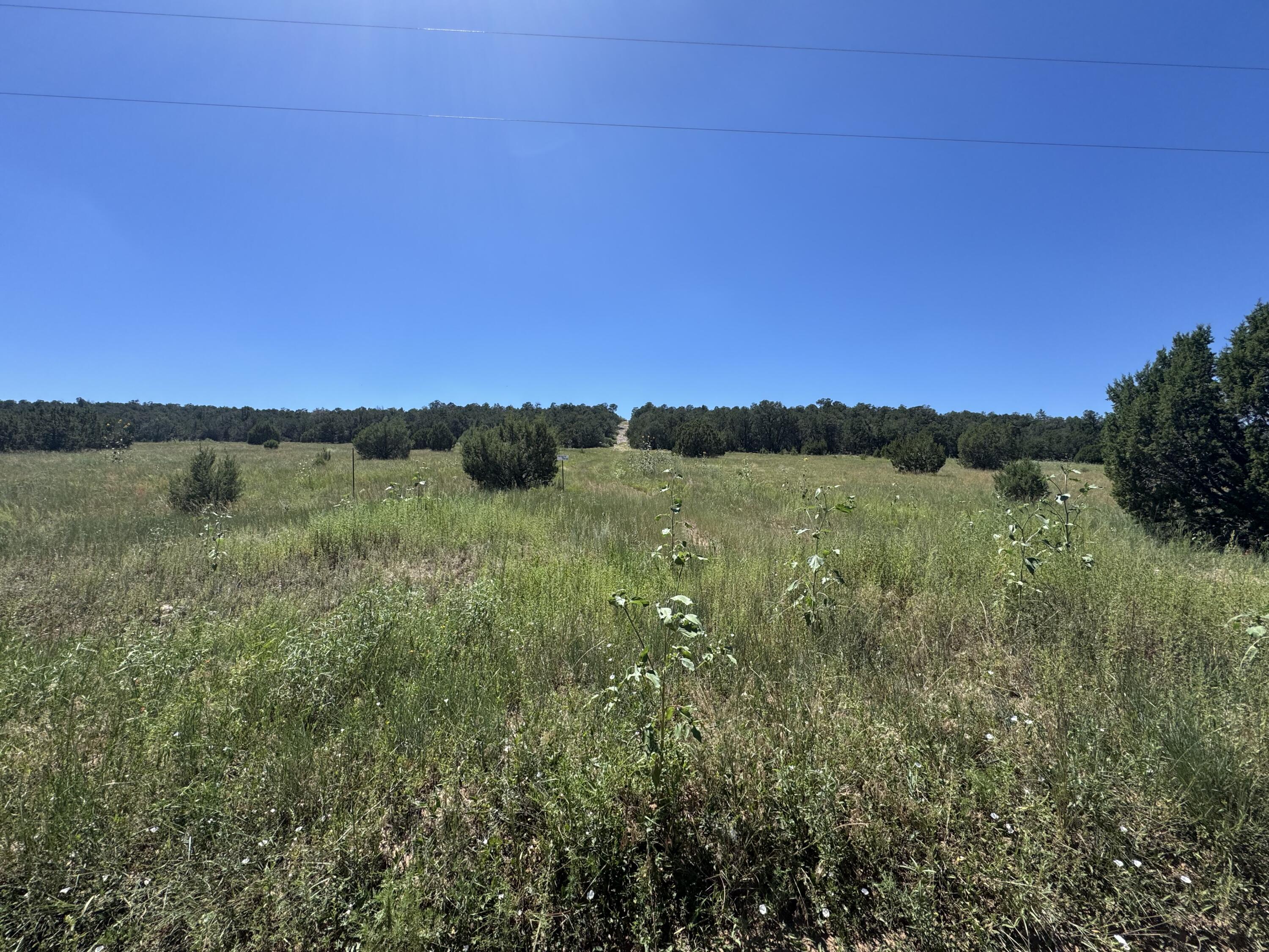 Mountain Valley - Main Image
