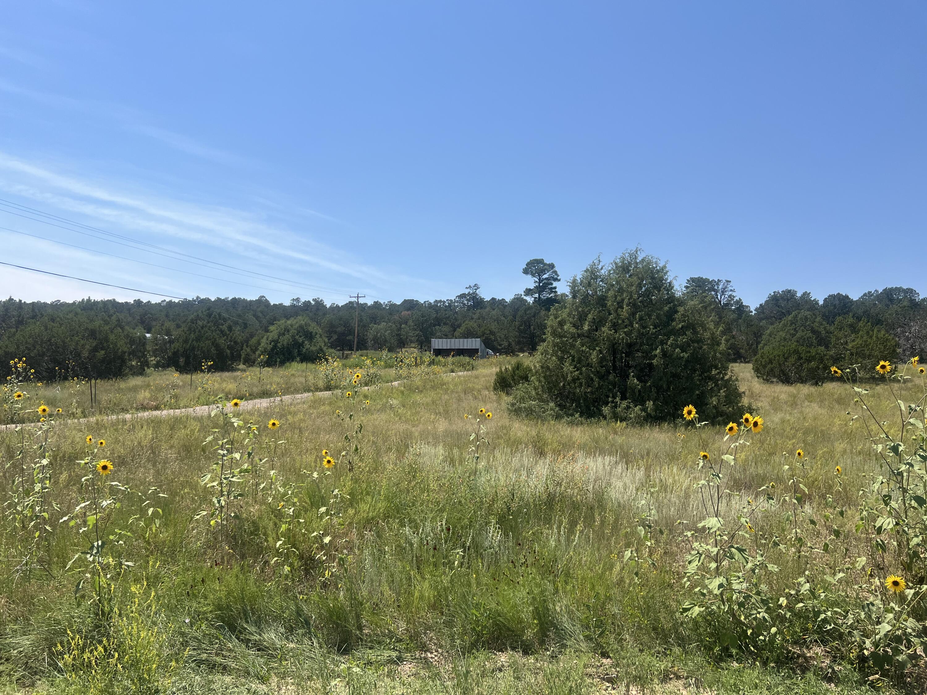 Ballenger Ranch Road - Main Image