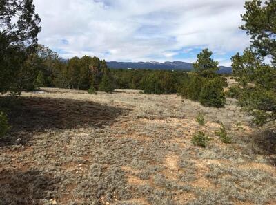 15 MANZANO Loop, Tijeras 