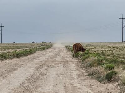 VL RRG Lot: 233 Unit 4 4, Socorro 
