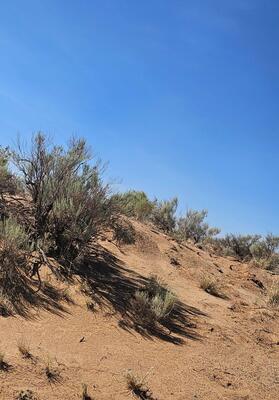 TBD Dalies, Los Lunas 