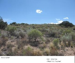 25th Avenue NW 7 - Main Image