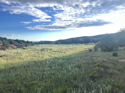Jamokie Lane, Tijeras 