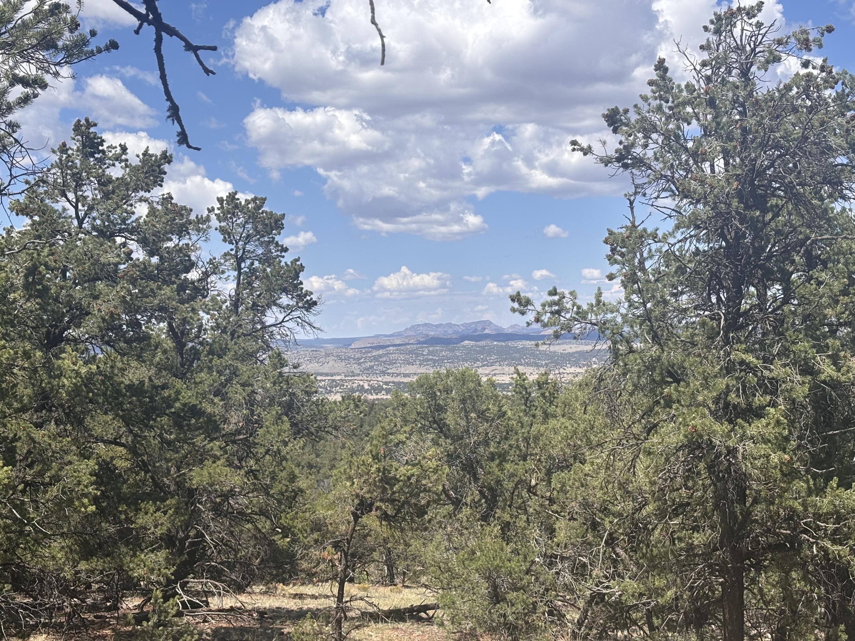 Lot 23 Tee Pee Ranch - Main Image