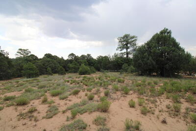 23 23 Nightingale Lane, Tijeras 