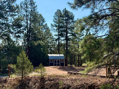 19 W Bobcat Drive, Ramah 