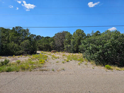 147 SUNDANCE KID, Edgewood 
