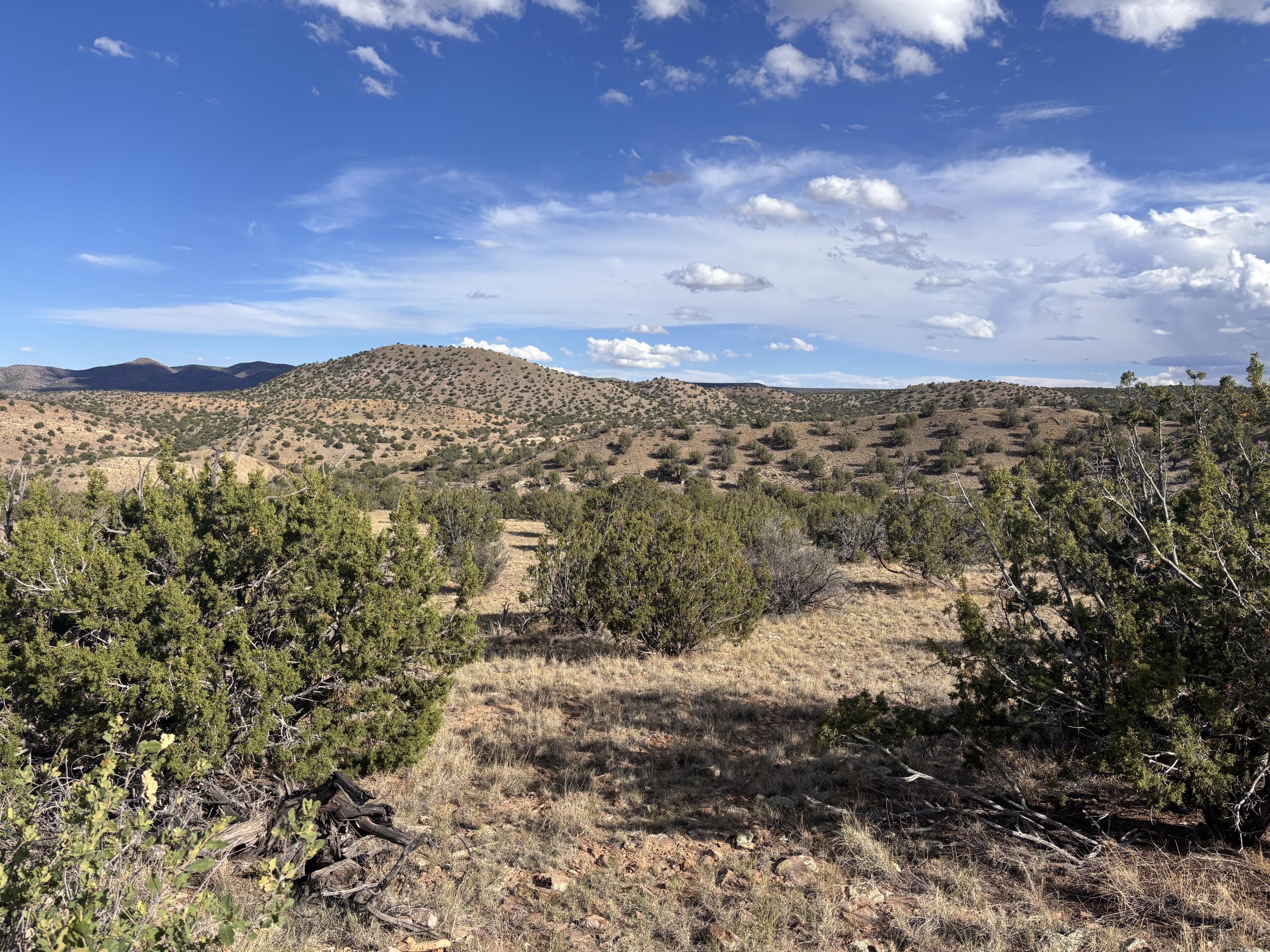Lot 94 Abbe Springs Ranches - Main Image