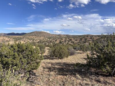 Lot 94 Abbe Springs Ranches, Magdalena 