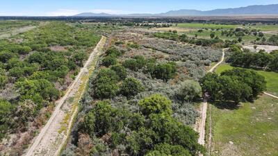 43+ Acres Las Nutrias, Veguita 