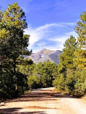 256 Red Canyon Road, Mountainair 