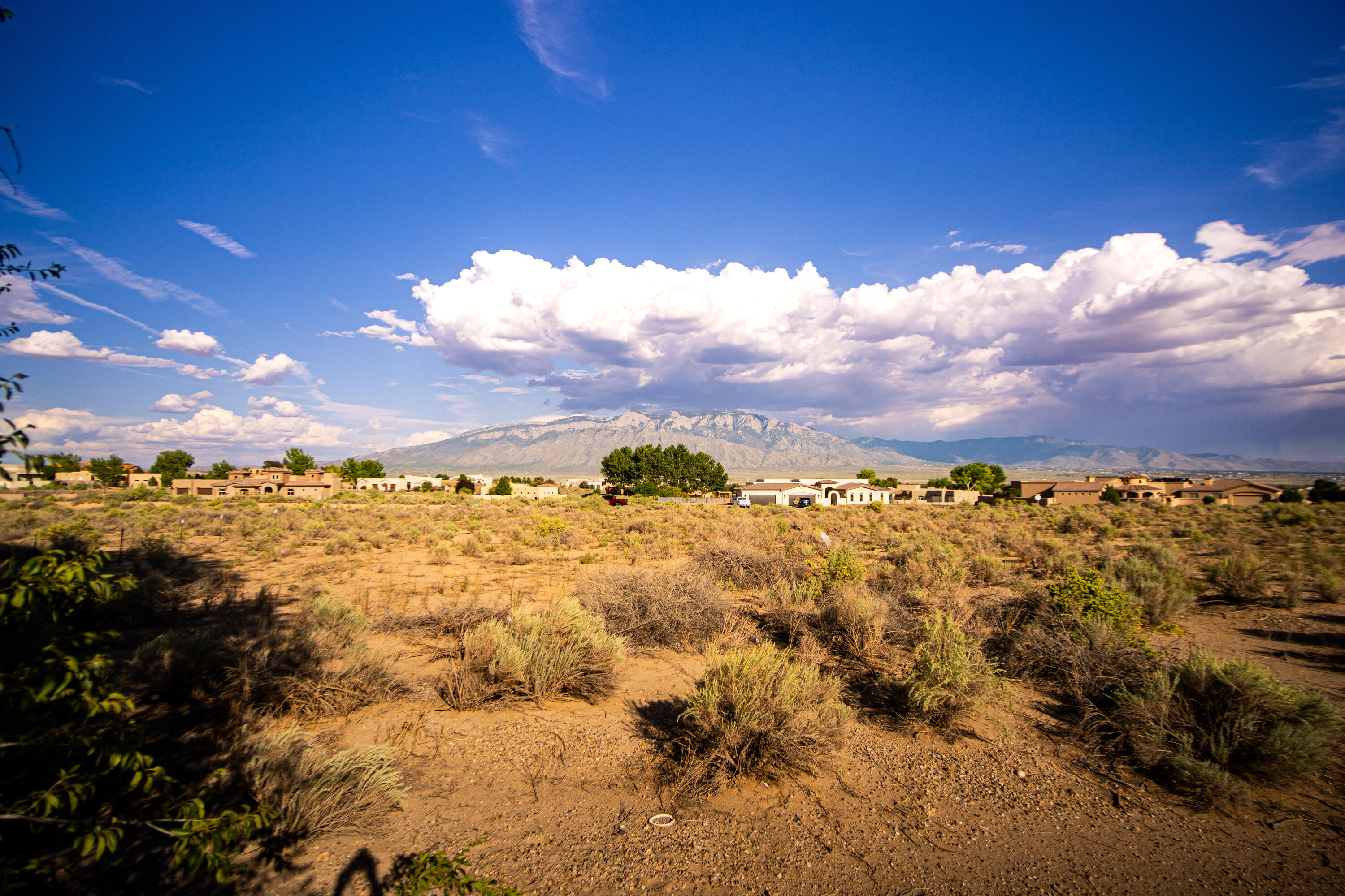 Lot 4 Don Julio Rd - Main Image