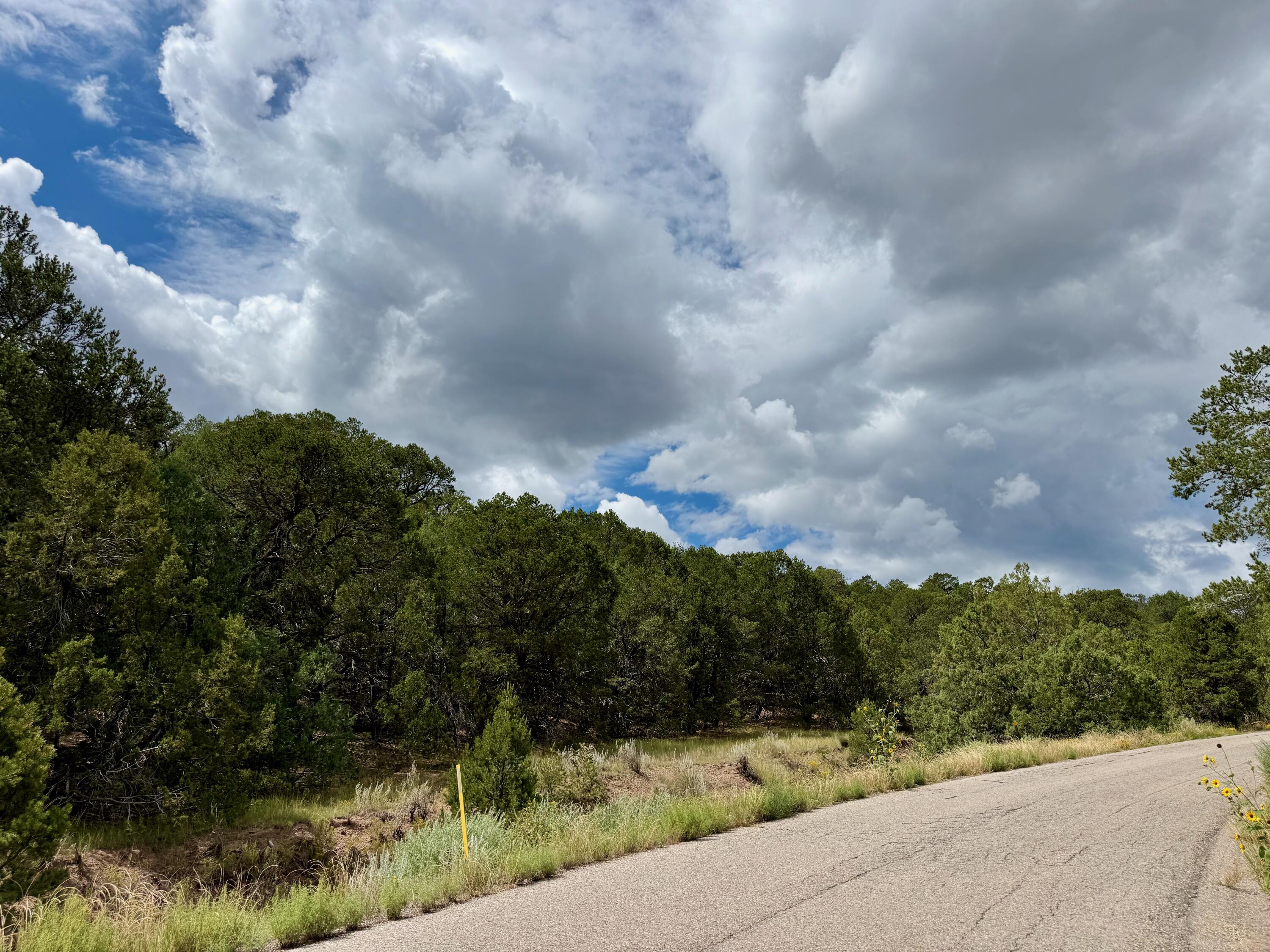 370 SEDILLO Road - Main Image