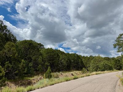 370 SEDILLO Road, Tijeras 