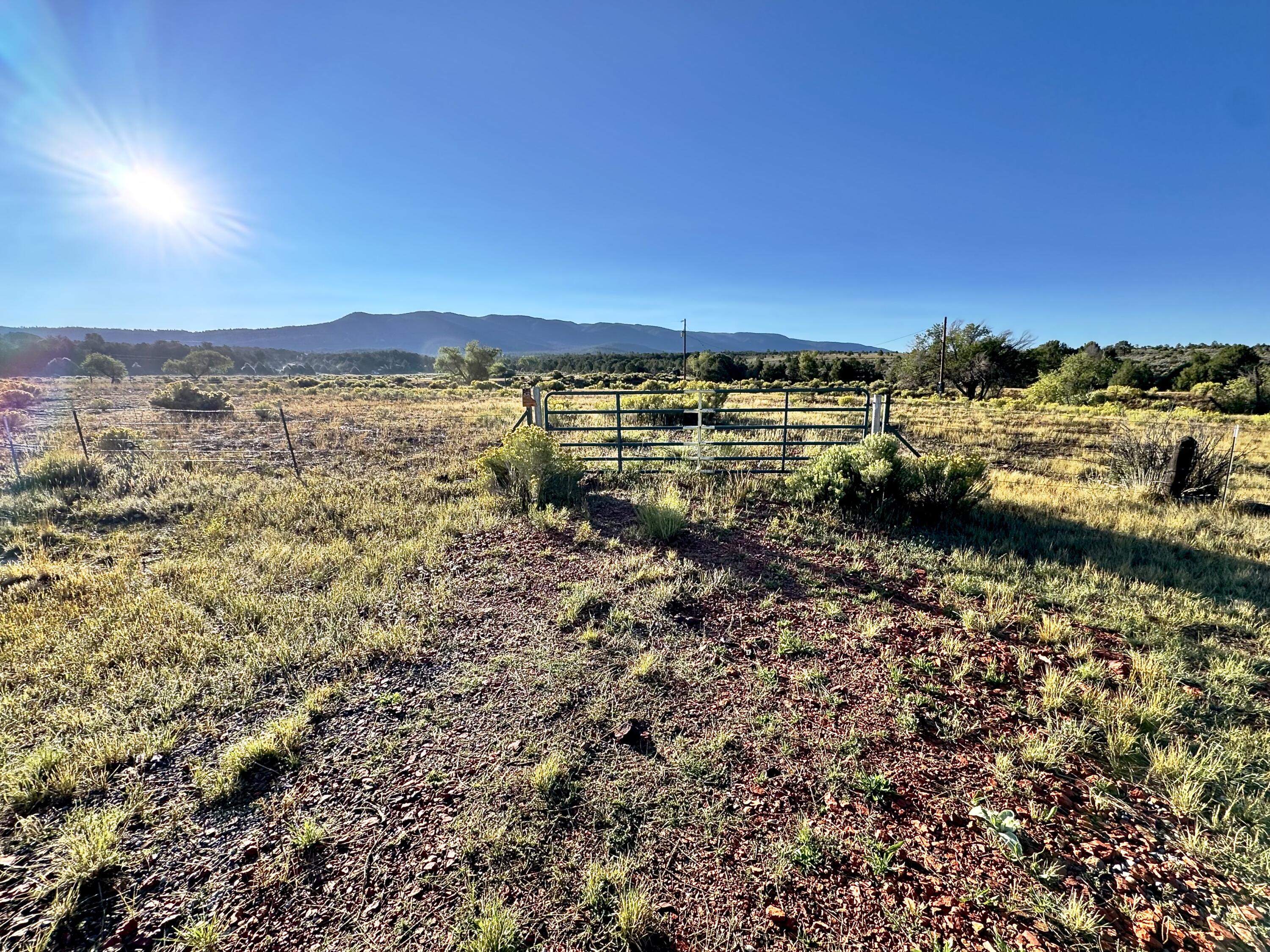 TBD State Highway 96 - Main Image