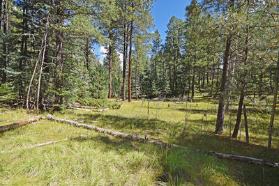 0 Thomsens Point, Jemez Springs 