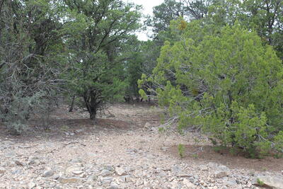 5 MANZANO Loop, Tijeras 