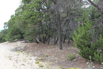 7 MANZANO Loop, Tijeras 