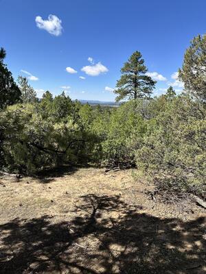 99 Private Drive 1781A, Chama 