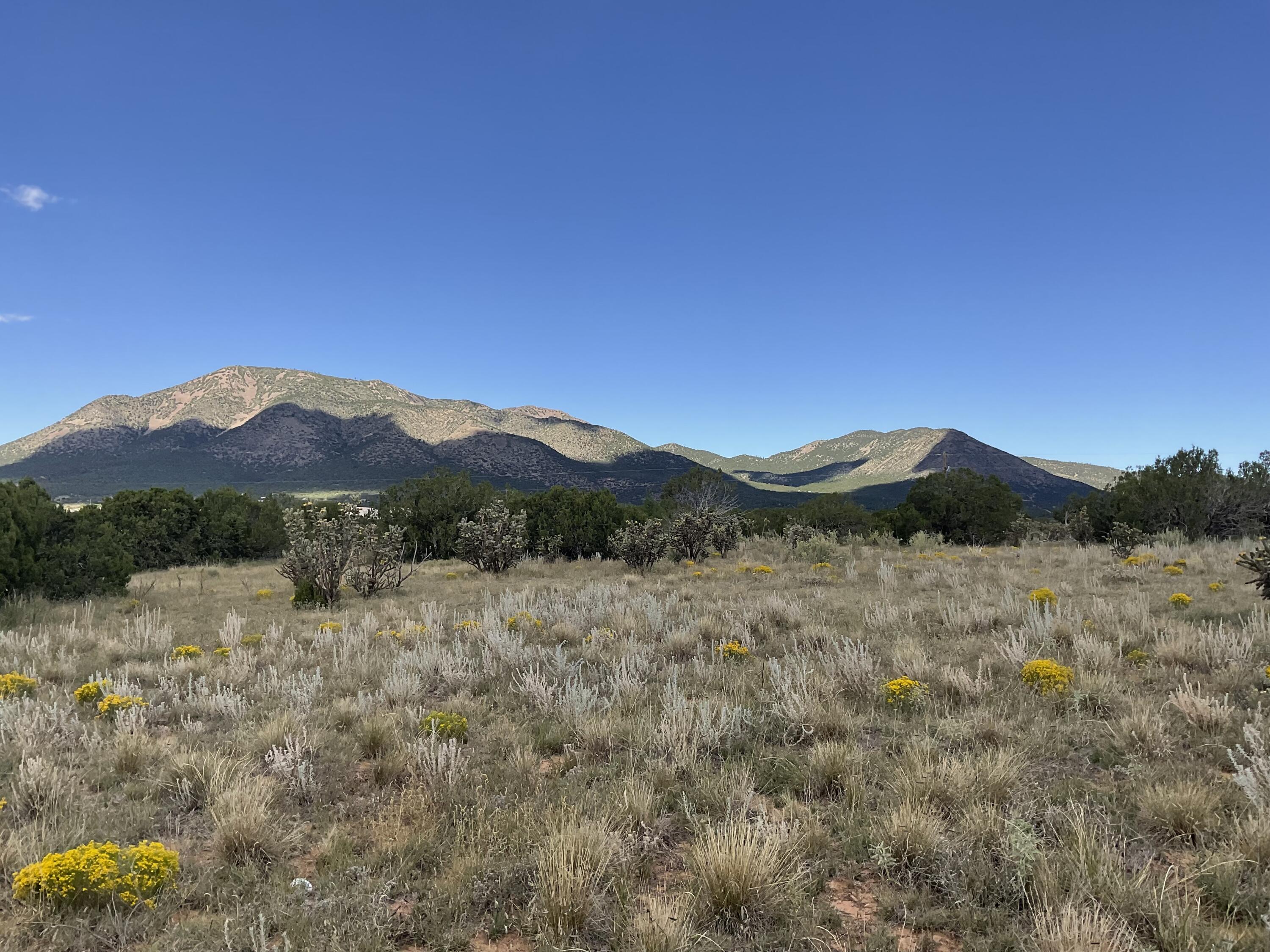 288 Entranosa Road - Main Image