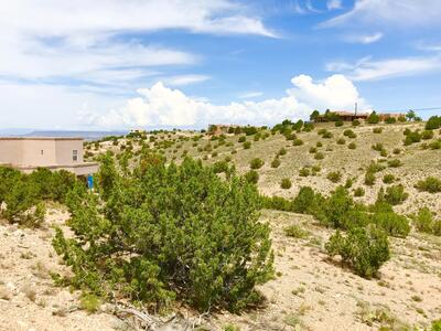 41 Vista De Las Sandias, Placitas 
